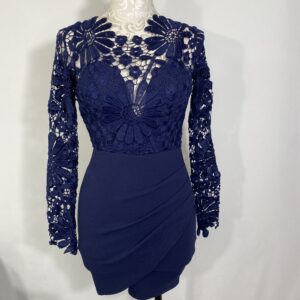 Long Sleeve Lace Top Dres
