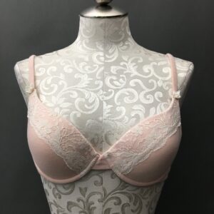 Faeries Dance Princess